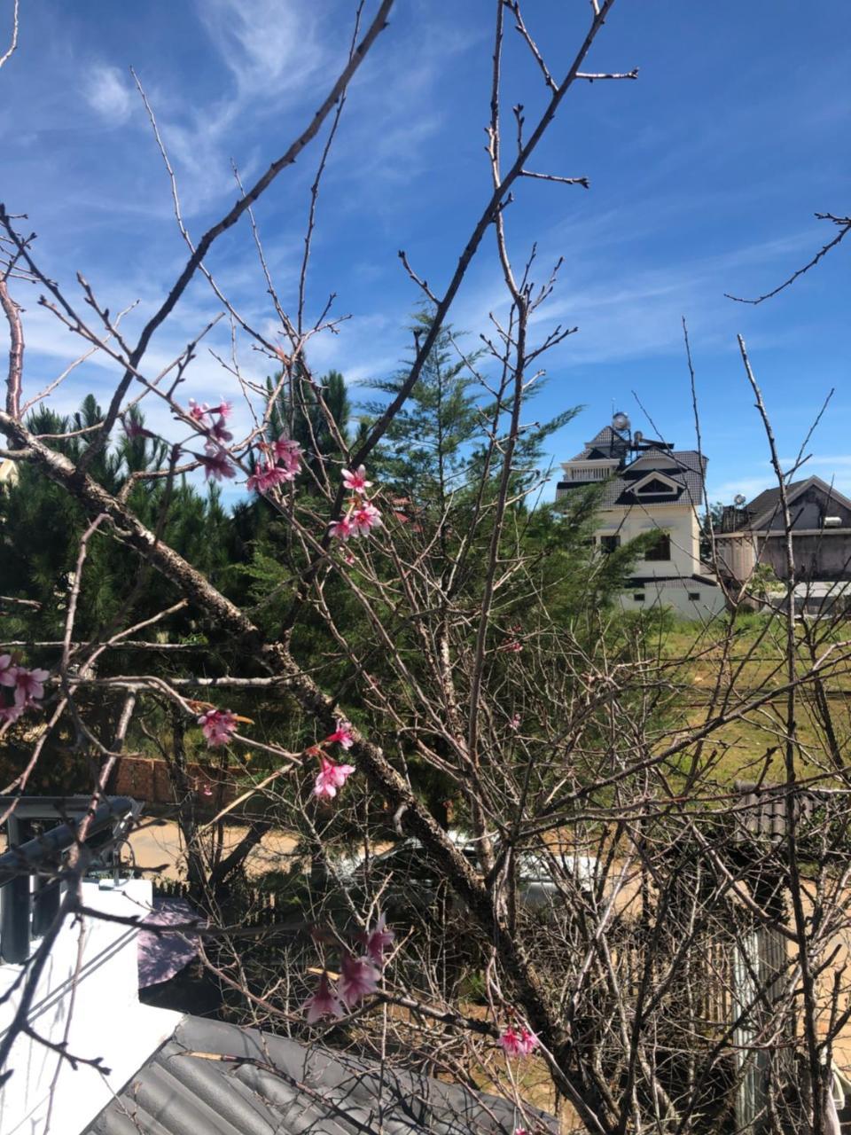 Da Lat Lotus Villa Boutique 外观 照片